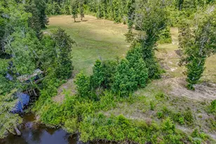 12730 SW Cr 275, Blountstown, FL 32424 - Photo 48