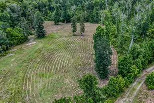 12730 SW Cr 275, Blountstown, FL 32424 - Photo 46