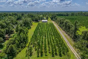 12730 SW Cr 275, Blountstown, FL 32424 - Photo 4