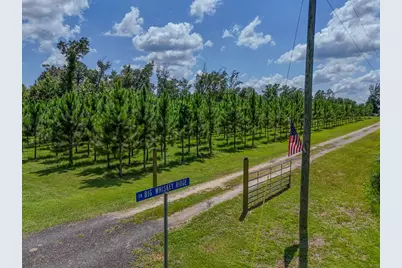 12730 SW Cr 275, Blountstown, FL 32424 - Photo 2