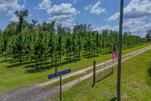 12730 SW Cr 275, Blountstown, FL 32424 - Photo 2