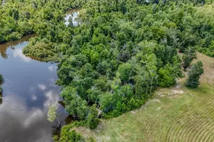 12730 SW Cr 275, Blountstown, FL 32424 - Photo 52