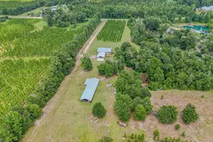 12730 SW Cr 275, Blountstown, FL 32424 - Photo 62