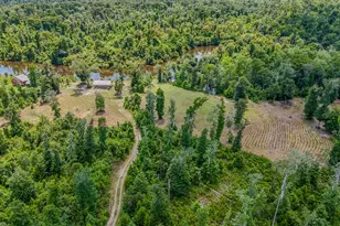 12730 SW Cr 275, Blountstown, FL 32424 - Photo 44