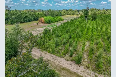 12730 SW Cr 275, Blountstown, FL 32424 - Photo 60