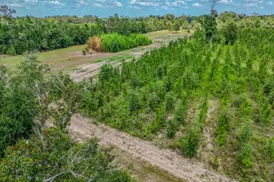 12730 SW Cr 275, Blountstown, FL 32424 - Photo 60