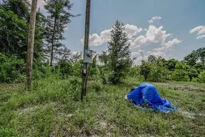 12730 SW Cr 275, Blountstown, FL 32424 - Photo 74
