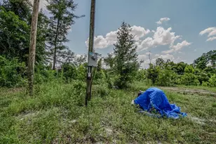12730 SW Cr 275, Blountstown, FL 32424 - Photo 74