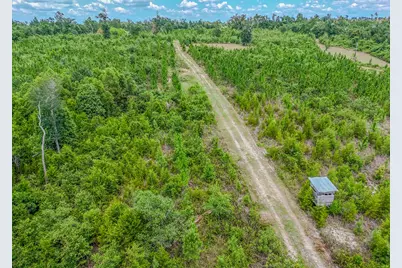 12730 SW Cr 275, Blountstown, FL 32424 - Photo 58