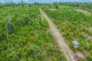 12730 SW Cr 275, Blountstown, FL 32424 - Photo 58