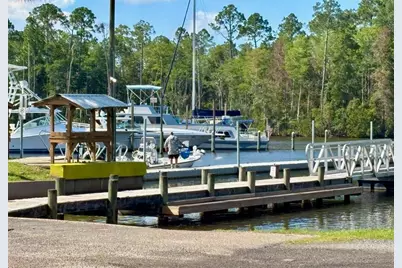 Tbd Gardenia St, Wewahitchka, FL 32465 - Photo 10