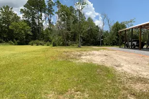 Tbd Gardenia St, Wewahitchka, FL 32465 - Photo 1