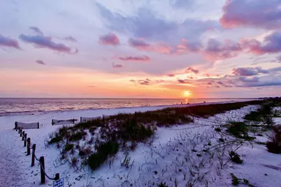 103 Gulf Terrace Ln, Port Saint Joe, FL 32456 - Photo 20