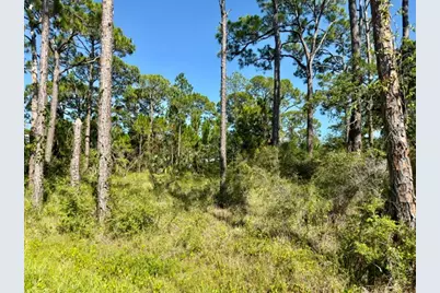 1028 Porter St #UNIT 5 BL 78, Saint George Island, FL 32328 - Photo 6