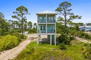 139 Lantana St, Cape San Blas, FL 32456 - Photo 4
