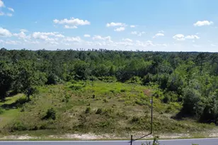 1522 Stone Mill Creek Rd, Wewahitchka, FL 32465 - Photo 1