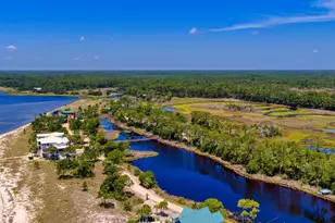 2904 Hidden Beaches Rd, Carrabelle, FL 32322 - Photo 84