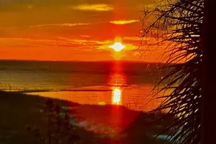 2904 Hidden Beaches Rd, Carrabelle, FL 32322 - Photo 38