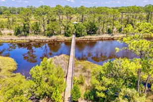 2904 Hidden Beaches Rd, Carrabelle, FL 32322 - Photo 88