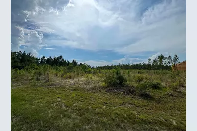 Lot 78 Wide Water Cir, Wewahitchka, FL 32465 - Photo 2