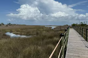 1800 Denise Ct E, Saint George Island, FL 32328 - Photo 56