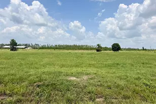 Lot 14 Harmony St, Wewahitchka, FL 32465 - Photo 1
