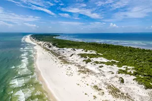 650 Seacliff Dr, Cape San Blas, FL 32456 - Photo 42