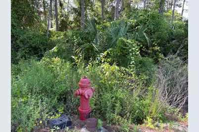 134 Spoonbill Ct, Carrabelle, FL 32323 - Photo 2