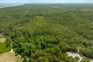 134 Spoonbill Ct, Carrabelle, FL 32323 - Photo 1