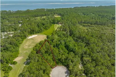 134 Spoonbill Ct, Carrabelle, FL 32323 - Photo 10