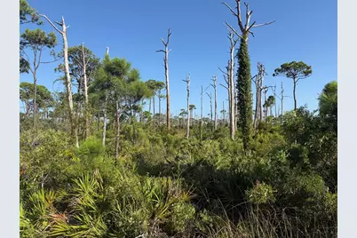 Tbd Cape San Blas Rd, Cape San Blas, FL 32456 - Photo 8