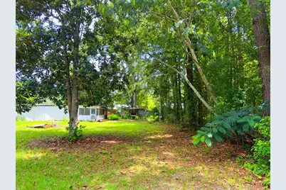 31839 SW Fox St, Bristol, FL 32321 - Photo 6