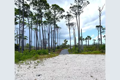4244 Cape San Blas Rd, Cape San Blas, FL 32456 - Photo 8