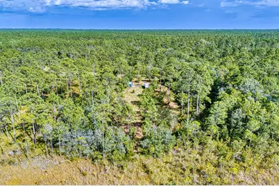 2039 River Bend Plantation Rd #13, Carrabelle, FL 32322 - Photo 12