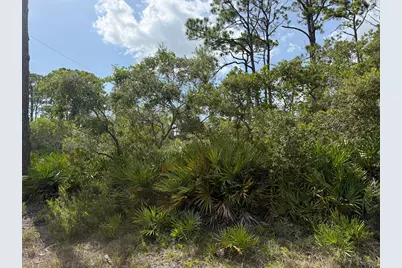 741 W Bay Shore Dr, Saint George Island, FL 32328 - Photo 4