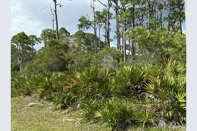 741 W Bay Shore Dr, Saint George Island, FL 32328 - Photo 1
