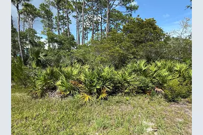 741 W Bay Shore Dr, Saint George Island, FL 32328 - Photo 2