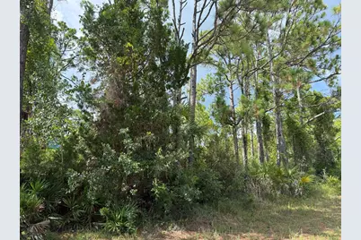 741 W Bay Shore Dr, Saint George Island, FL 32328 - Photo 8