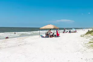 3050 Hwy 98 W, Port Saint Joe, FL 32456 - Photo 40