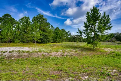 359 Gramercy Plantation Blvd, Eastpoint, FL 32328 - Photo 2