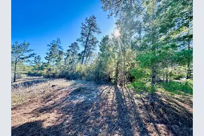 228 Lake Pristine Cir, Carrabelle, FL 32322 - Photo 2