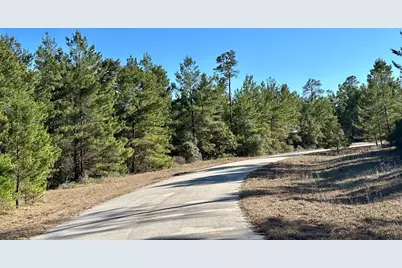 228 Lake Pristine Cir, Carrabelle, FL 32322 - Photo 8