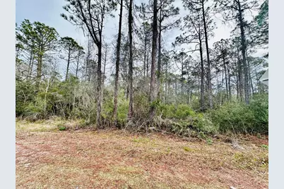 1546 Hwy 67, Carrabelle, FL 32322 - Photo 2