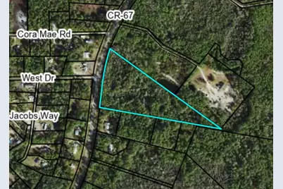 1546 Hwy 67, Carrabelle, FL 32322 - Photo 6