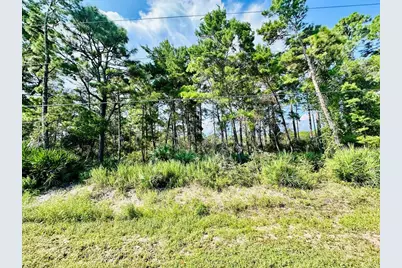 271 Twin Lakes Rd, Eastpoint, FL 32328 - Photo 1