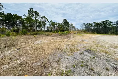 295 Airport Rd, Carrabelle, FL 32322 - Photo 4