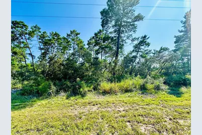 182 Airport Rd, Carrabelle, FL 32322 - Photo 2