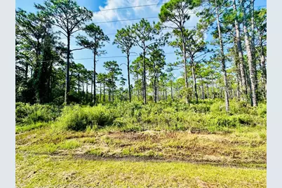 247 Twin Lakes Rd, Eastpoint, FL 32328 - Photo 1