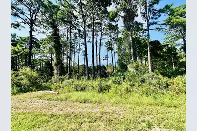 253 Twin Lakes Rd, Eastpoint, FL 32328 - Photo 1