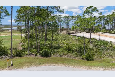 Tbd Heron Bay Ln, Port Saint Joe, FL 32456 - Photo 1